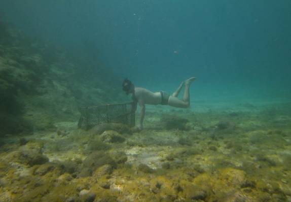 O Rafa examina gaiola de peixes nas águas limpas do mar próximo à Playa Ancón, em Trinidad - Cuba